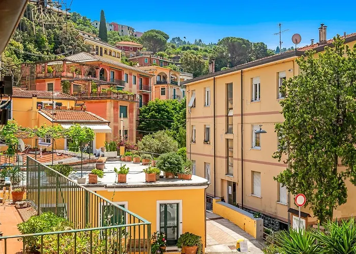 Mamma Mia, Terre Marine